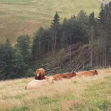 Skylo Winterberg