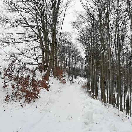 Вілла Skylo *