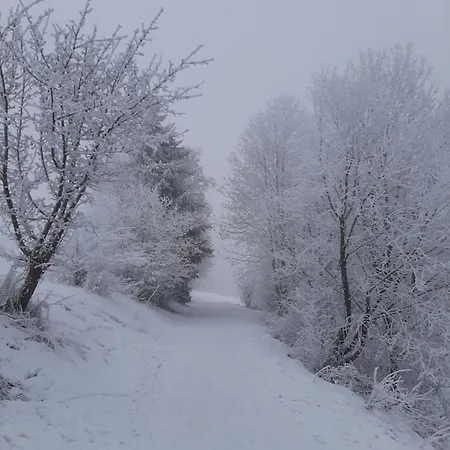Skylo Вилла Винтерберг
