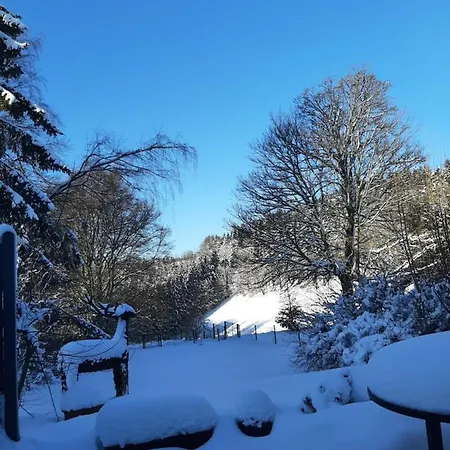 Skylo * Винтерберг