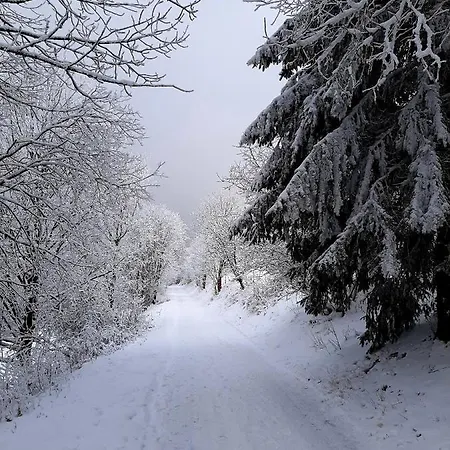 Skylo Вілла